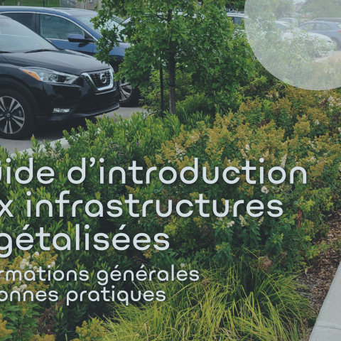 Guide d'introduction aux infrastructures végétalisées